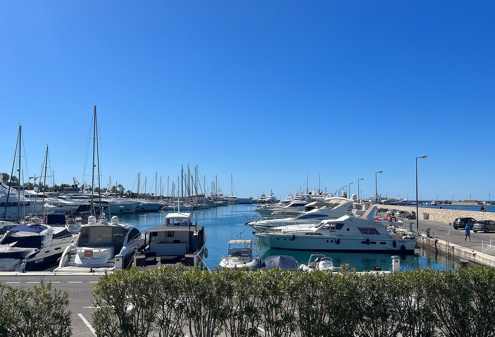 Port de Cannes